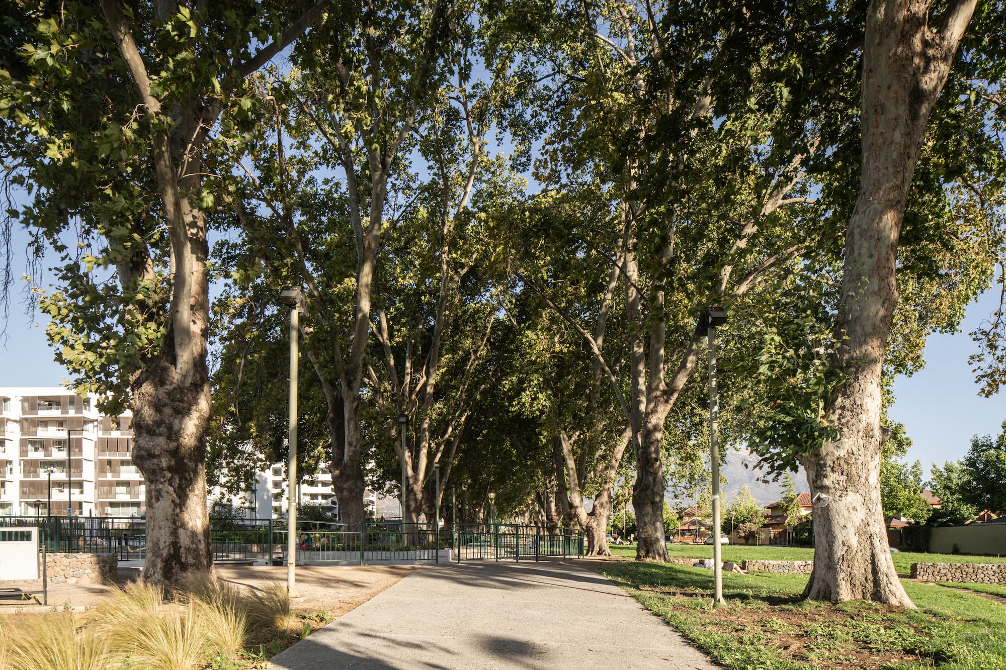 Alameda Parque Cousiño