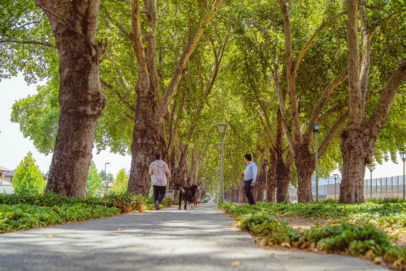 Parque Cousiño